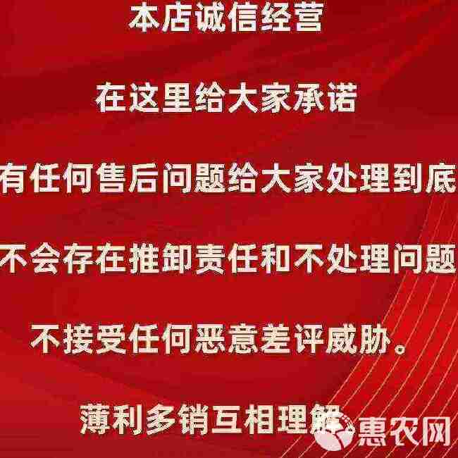 贵州兴仁高山白壳小薏米，价值，高产地批发，内销、出口。