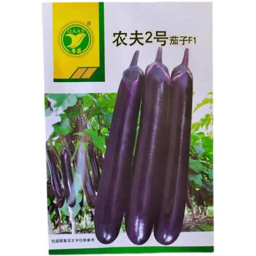 珠海农夫2号茄子种子 果形长棒 果皮深紫 光泽度好 基地种植