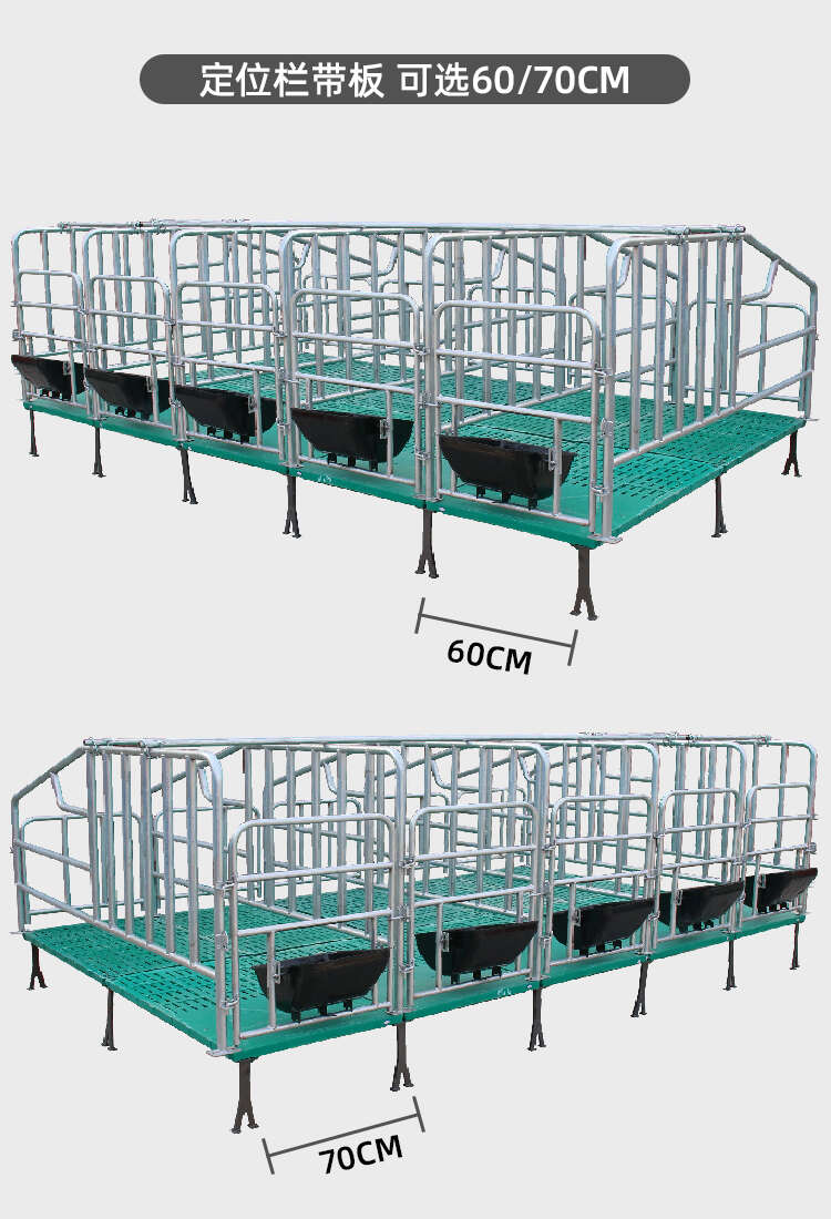 集中養(yǎng)殖定位欄 母豬定位欄 漏糞板式定位欄