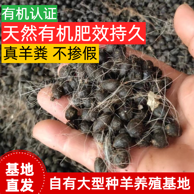 纯羊粪发酵高温发酵腐熟羊粪球羊粪蛋无臭味