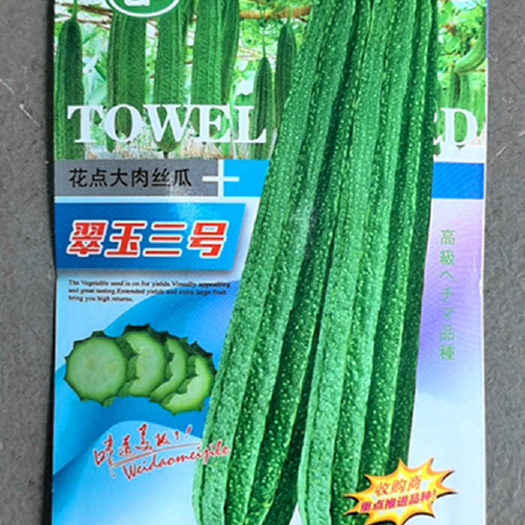 翠玉三号大肉花点丝瓜种子 中早熟 春秋型 瓜形整齐