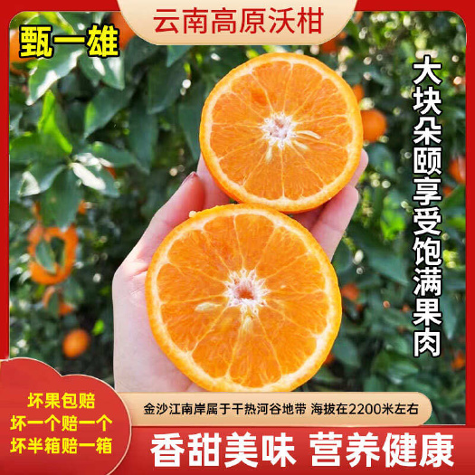 宾川县云南沃柑宾川沃柑橘子带绿叶发货带箱5斤9斤一件代发