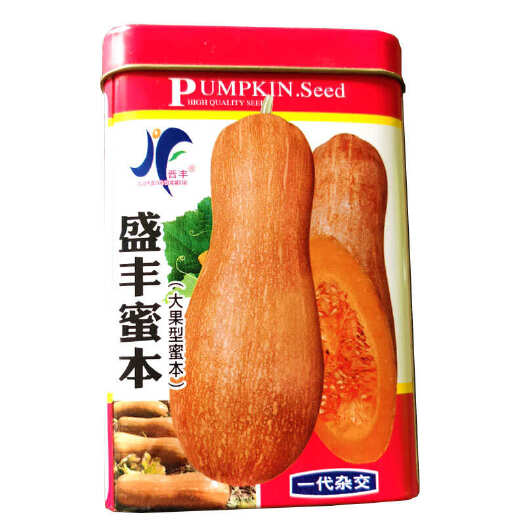 蜜本南瓜种子 大果超甜粉面蜜本甜南瓜 早熟高基地品种