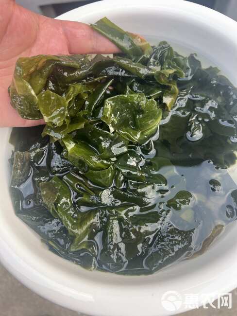 精品群带菜，海藻干活，量大优惠，罐装便捷大气