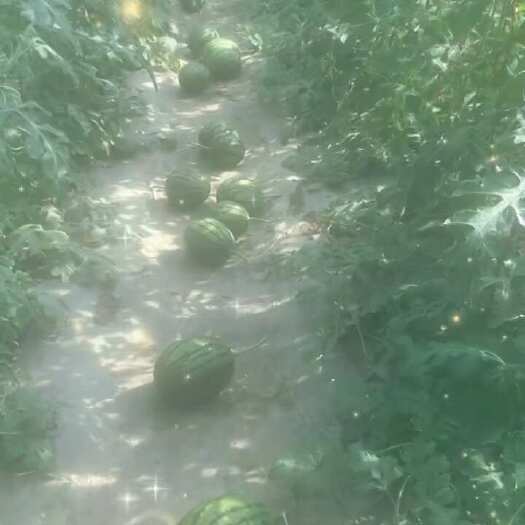 漯河全美2k