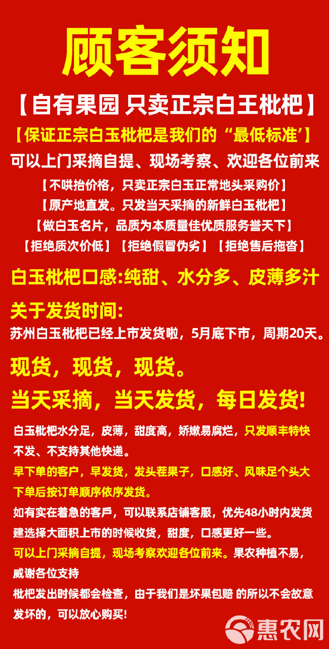 白玉枇杷鲜果白梨塘栖应季水果新鲜琵琶超甜大果礼盒