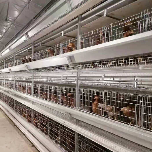 荥阳市自动化蛋鸡养殖成套设备 鸡只笼子多层立体鸡笼