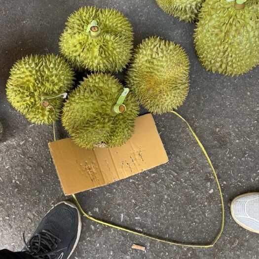 广州金枕榴莲