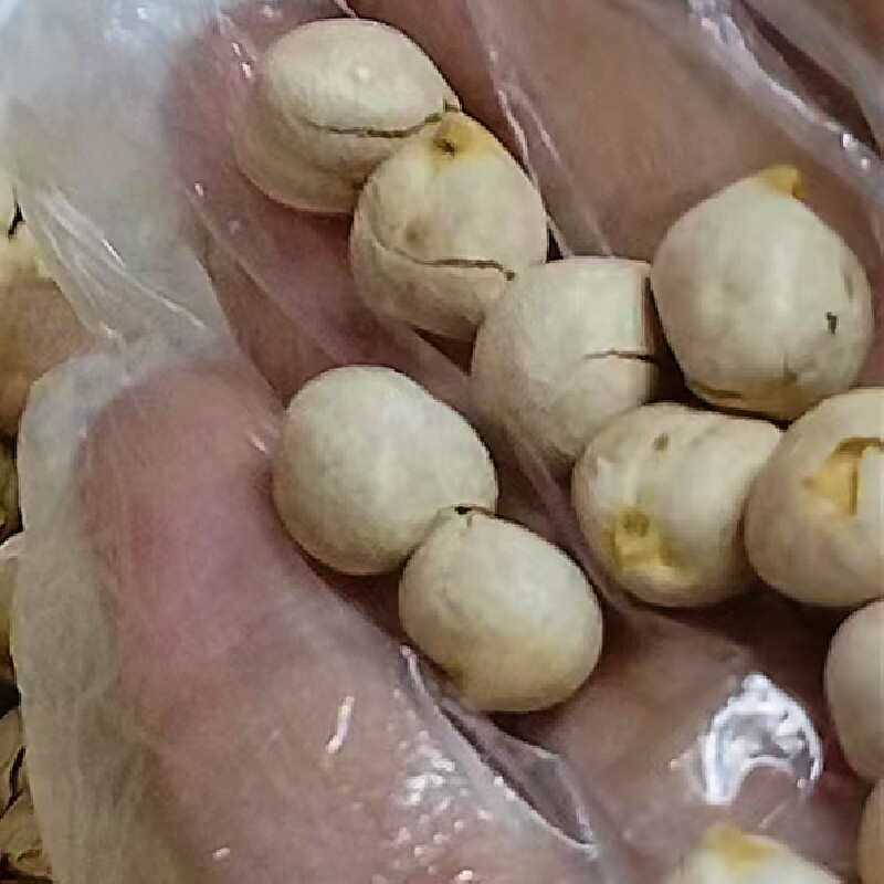 鹰嘴豆新疆原味生炒熟香酥即食坚果营养休闲小零食新货包邮批发