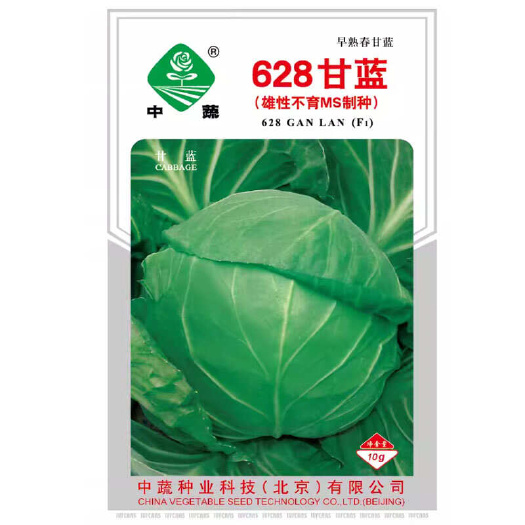 寿光市中蔬628甘蓝种子批发早熟春甘蓝大面积种植圆白菜甘蓝蔬种子
