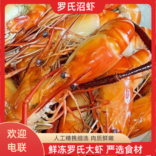 鲜冻罗氏虾，罗氏沼虾，冷冻白脚虾，淡水虾，速冻大虾