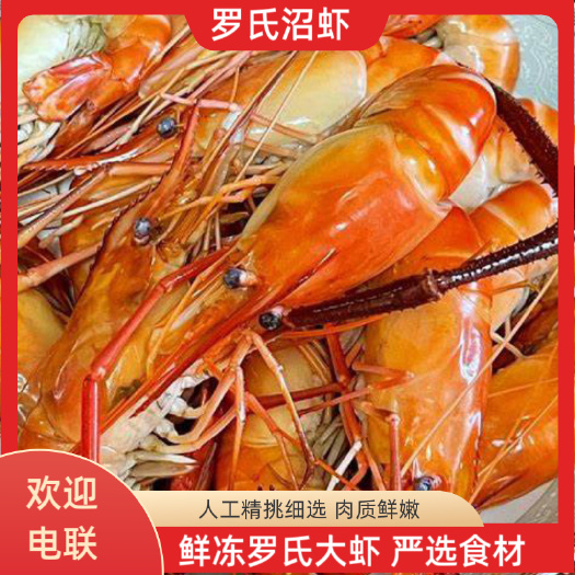 高邮市鲜冻罗氏虾，正宗罗氏沼虾，冷冻白脚虾，淡水虾，速冻大虾