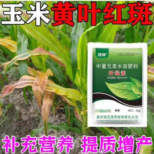 栾川县玉米黄叶病专治黄叶死苗壮杆提苗抗逆叶绿叶厚氨基酸水溶叶面肥