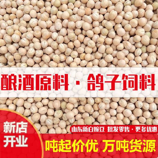 临沂白豌豆大量现货，酿酒白豌豆，鸽粮宠物粮干豌豆，量大优惠