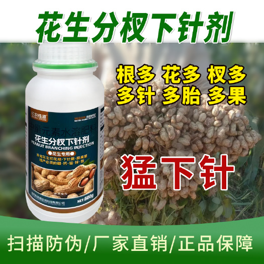 花生高产粒粒饱花生分杈下针剂花生膨壮粒粒饱花生膨大粒粒宝