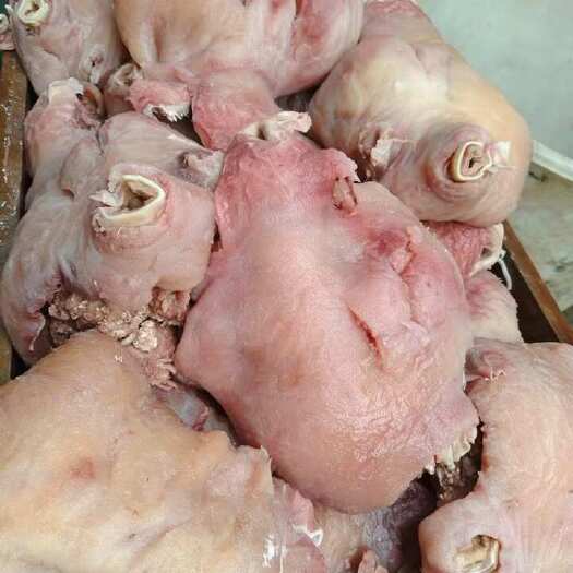  熟牛头肉