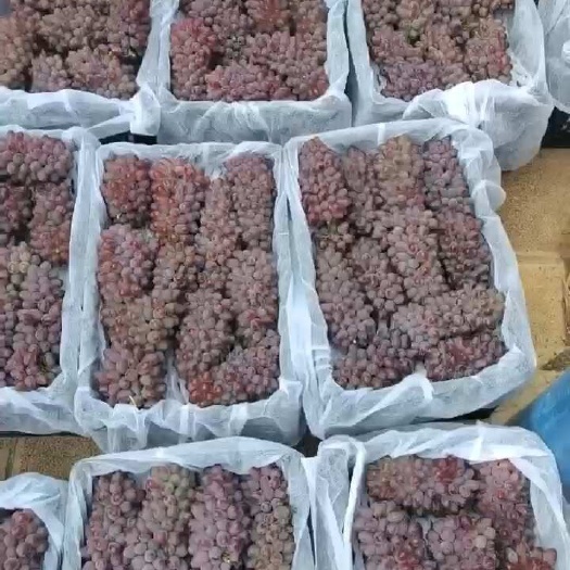 建水县茉莉香电商供应