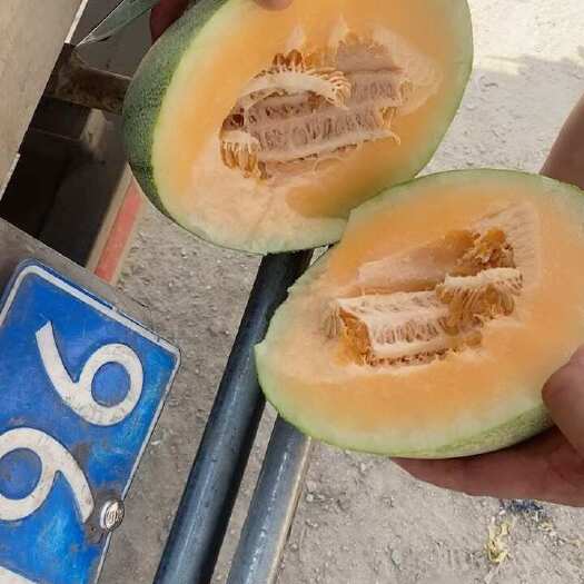 乐东县海南晓蜜