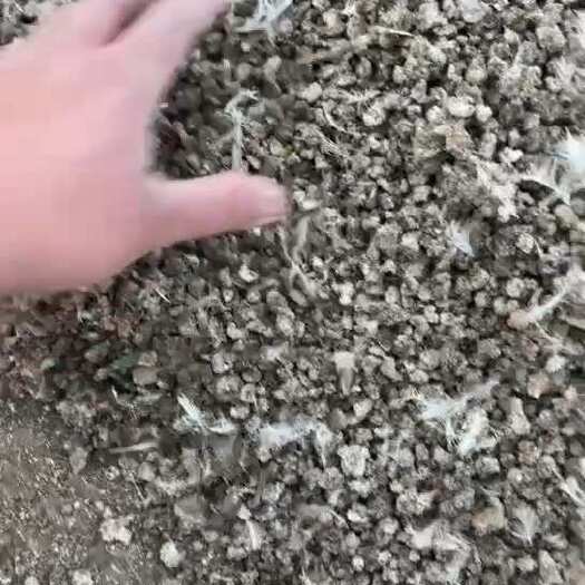  鸟粪