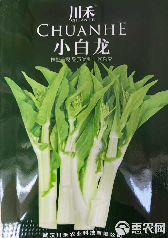 翠苔2号白菜苔种子 早熟 主苔粗 侧芽多 耐热耐寒 采收期长