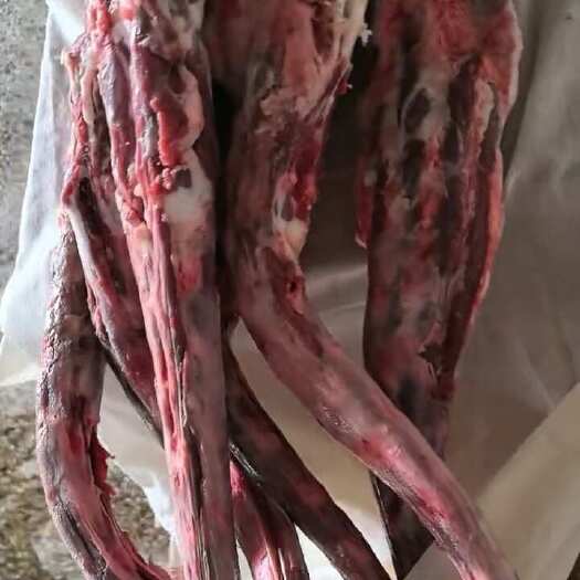 阳信县鲜牛尾