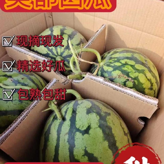美都西瓜，大量现货，漂亮实惠，有需要的老板联系