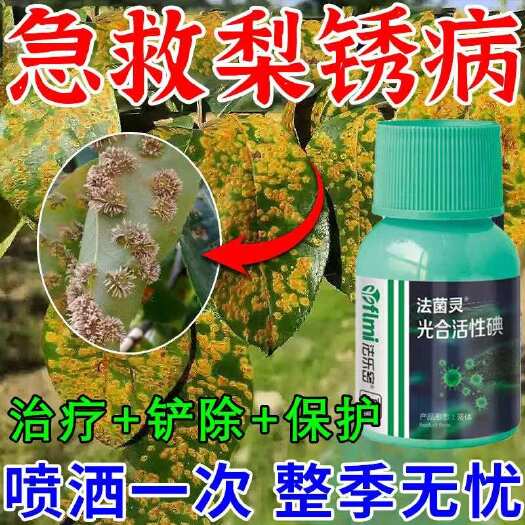 栾川县梨树铁锈病专用药防治羊胡子腐烂黑斑白粉病病菌清增产生物肥