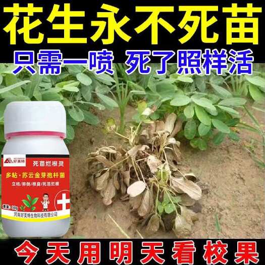 栾川县花生专用药花生死苗烂根锈病枯萎病叶斑病白绢病根腐病花生杀菌剂