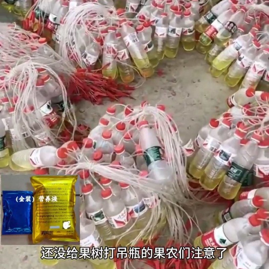 长沙果树营养液