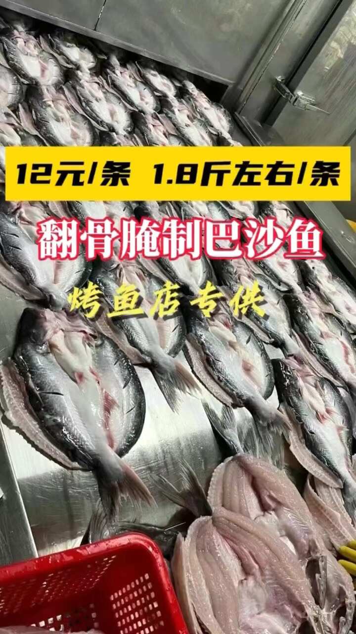 干冰开背巴沙鱼20斤/件 14条10条大量现货！