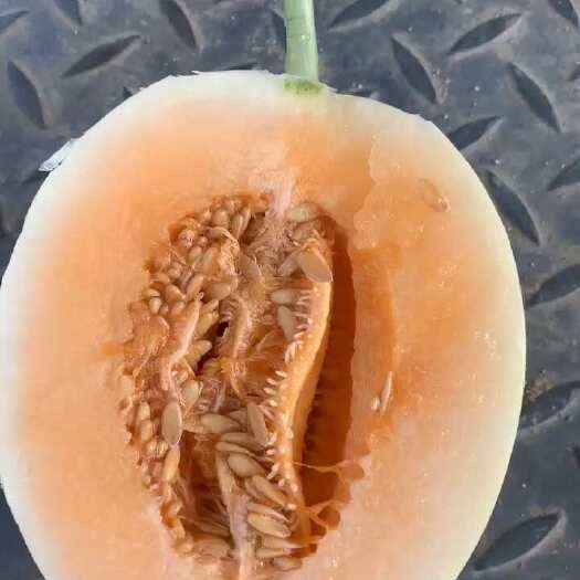 汝南县大量有货 需要可以联系