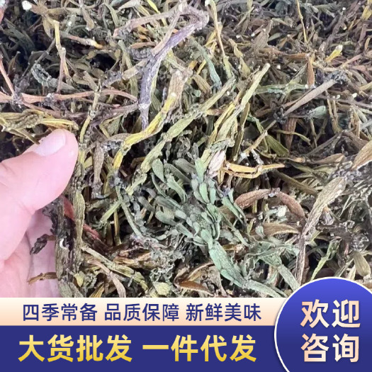 批发2024茶树螃蟹脚 普洱生茶 大货批发 量大从优