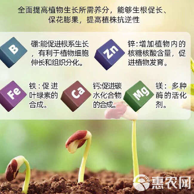 流体钙镁硼锌中量元素水溶肥纯螯合吸收快蔬菜瓜果水剂叶面肥