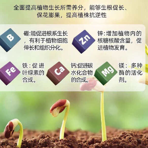 流体钙镁硼锌中量元素水溶肥纯螯合吸收快蔬菜瓜果水剂叶面肥