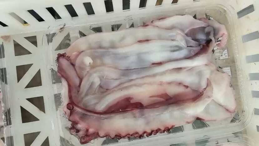 鱿鱼片鱿鱼花章鱼足鱿鱼瀑布大刀鱿鱼涮片火锅食材海鲜自助食材