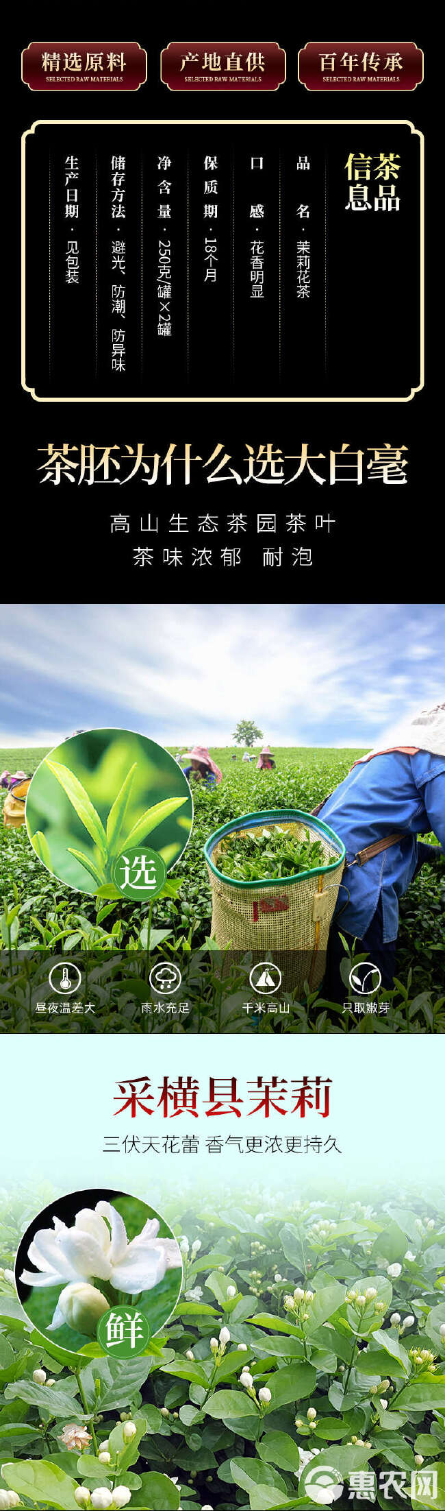 2024新茶茉莉花茶叶浓香型茉莉花飘雪横县花茶绿茶500g