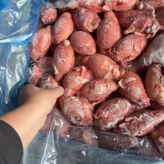郑州羊宝/鞭