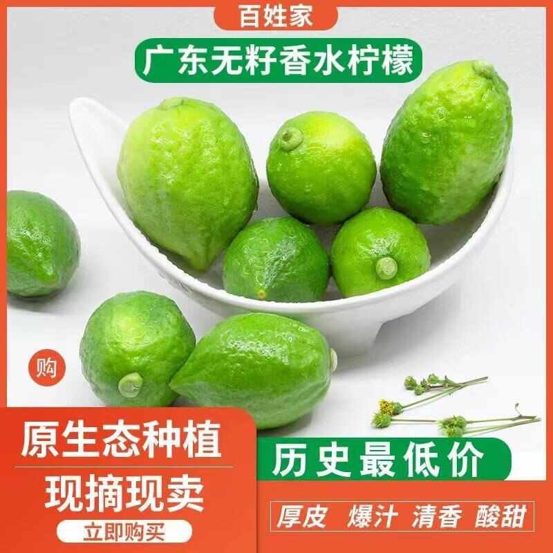 柠檬新鲜柠檬尤力克皮薄多汁奶茶水果一级果柠檬整箱