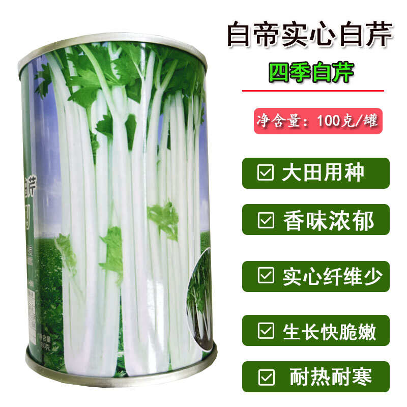 实心白杆芹菜种子 白帝实心芹种籽 早熟 香味浓郁特菜籽