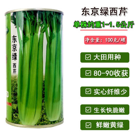 济南东京绿西芹种子鲜嫩翠绿 耐热 耐湿四季播基地大田种植