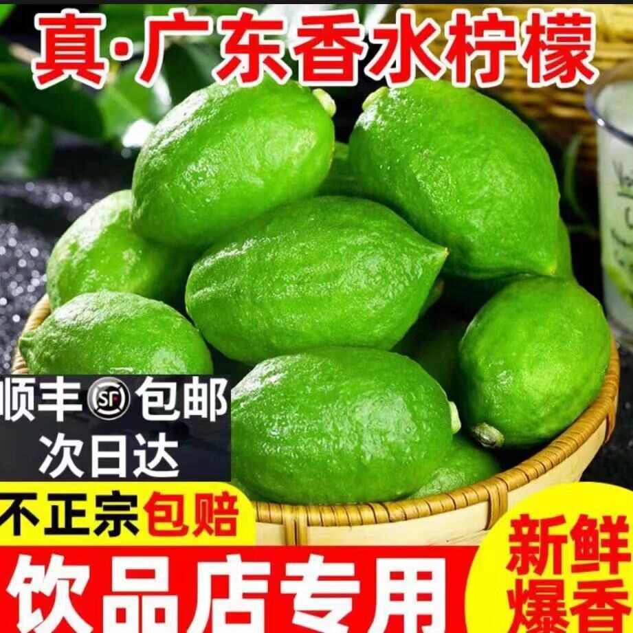 廣東無(wú)籽香水檸檬飲品店專用新鮮香檸檬厚皮一級(jí)果二級(jí)果