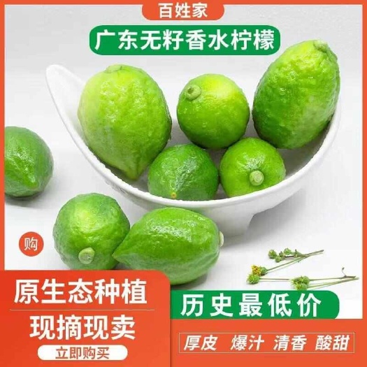 广州广东香水柠檬新鲜正宗青柠檬少籽一二级果应当季水果奶茶店专用果