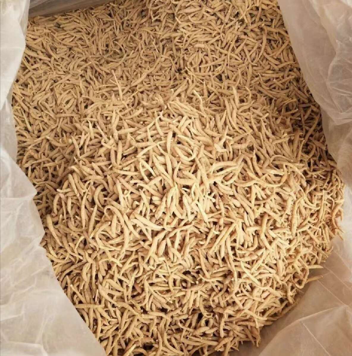 太子参童参贵州太子参儿童煲汤材料非中药材