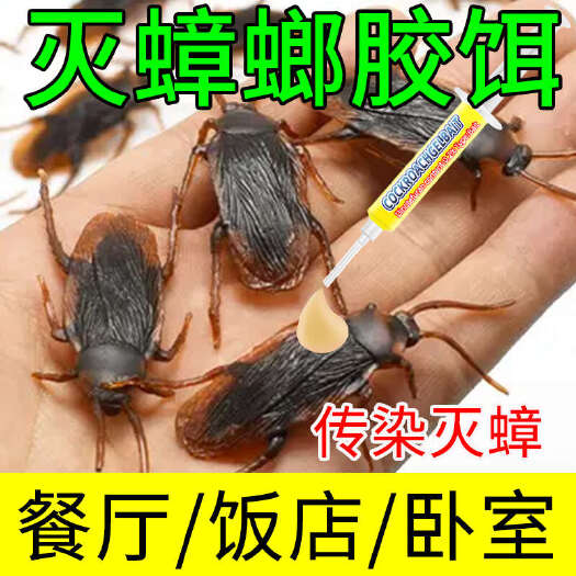 栾川县赵师傅灭蟑螂胶饵 饭店家用厨房餐厅卧室灭蟑胶饵