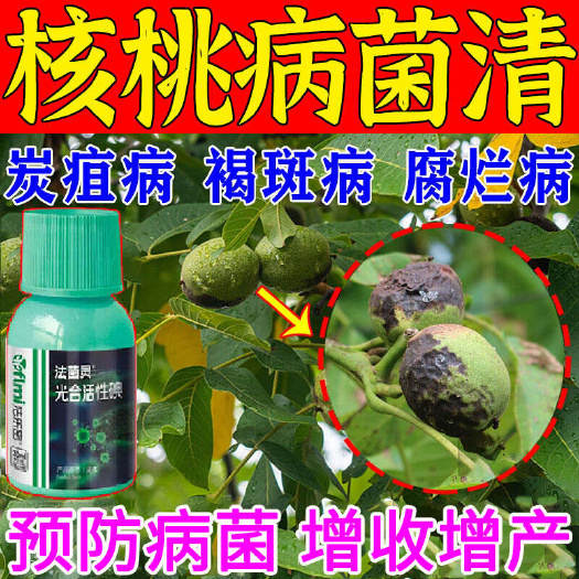 栾川县核桃树专用病菌殺核桃黑皮病黑斑病黑水病炭疽白粉病烂果腐烂病
