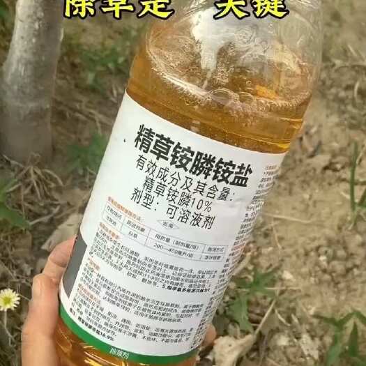 潍坊精草铵膦铵盐 恶性除杂草果树茶园田梗农药除草剂不伤土壤