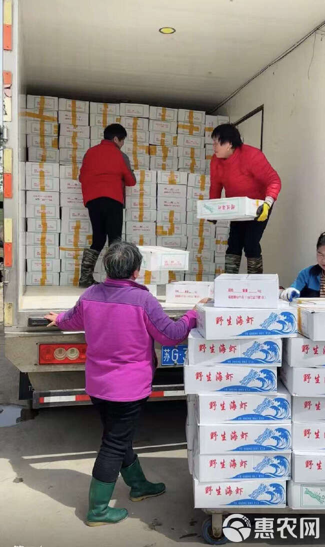 冷冻皮皮虾批发  精挑细选  产地直发 高品质 4斤装