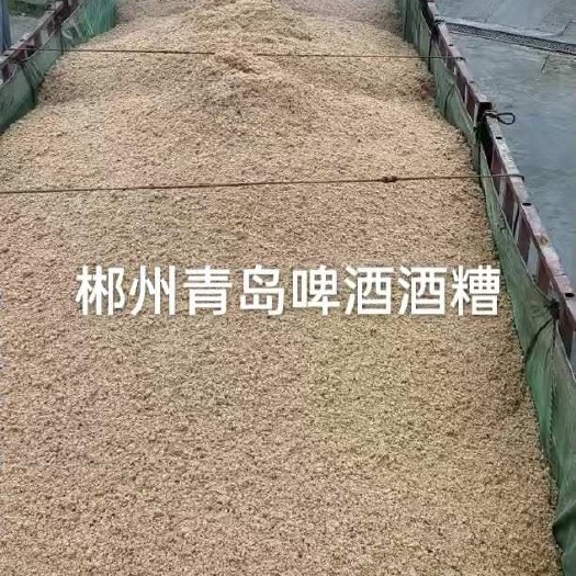 资兴市郴州青岛啤酒酒糟