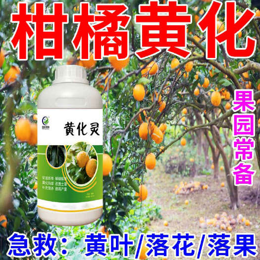 栾川县黄化灵果树黄叶黄斑柑橘香蕉槟榔通用