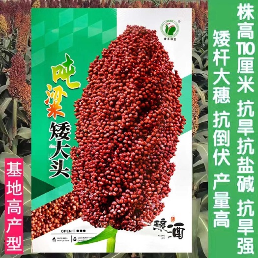 青县吨梁矮杆高粱种  矮杆酒糯高粱王铁杆1米红高粱种子 矮杆